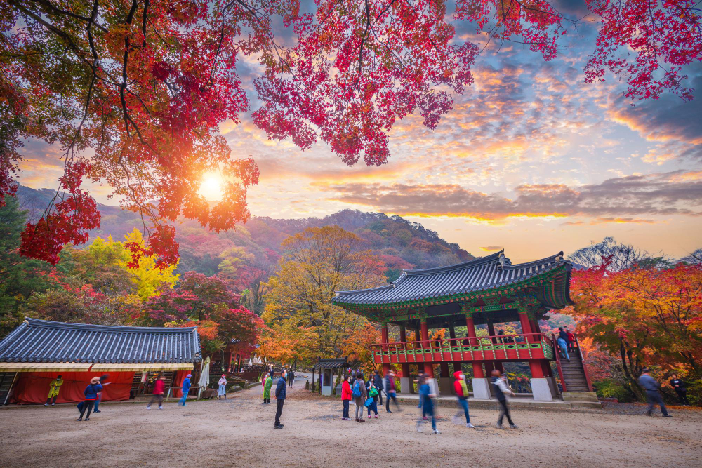 South Korea tours 1